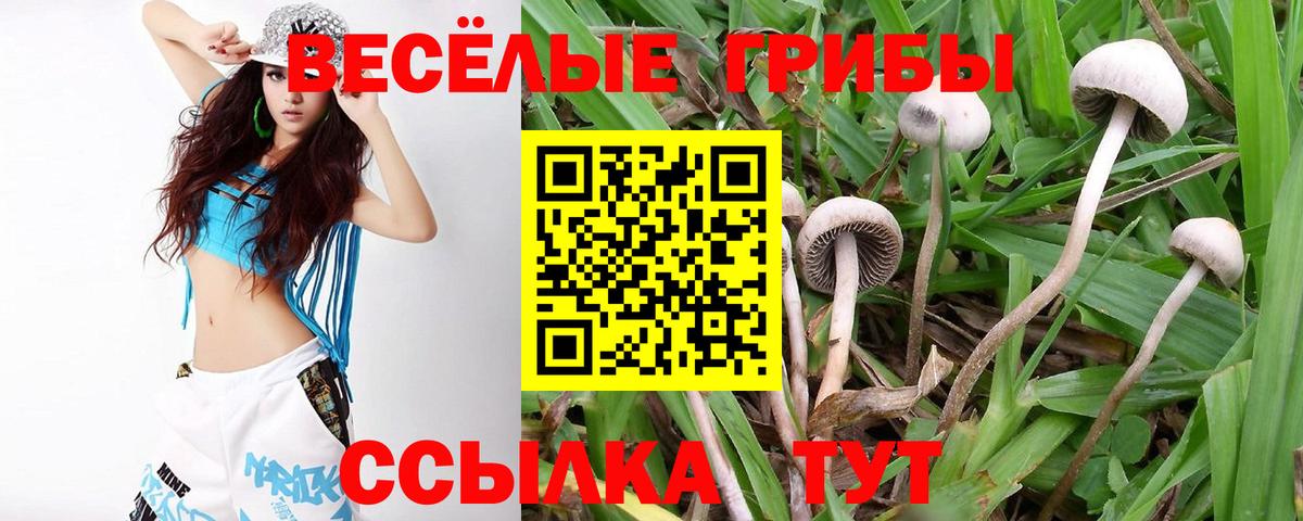 Псилоцибиновые грибы прущие грибы Новочеркасск